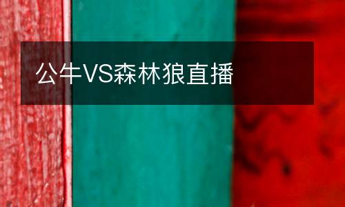 公牛VS森林狼直播