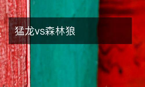 猛龍vs森林狼