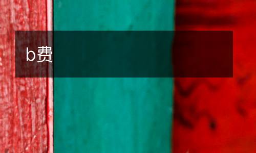 b費