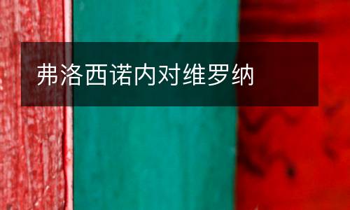 弗洛西諾內(nèi)對維羅納